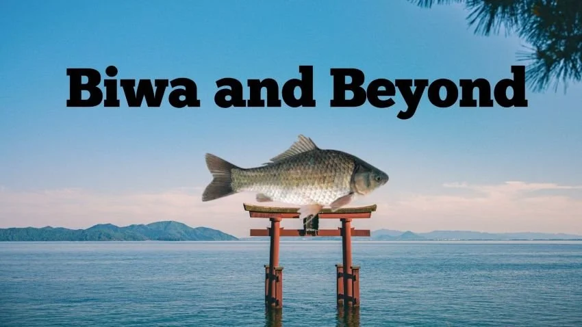 Japanese Buna (Crucian Carp) Bass Lures – Unique JDM Swimbaits